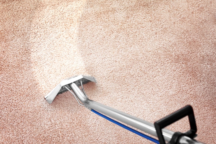 high-quality and professional carpet cleaning in leeds